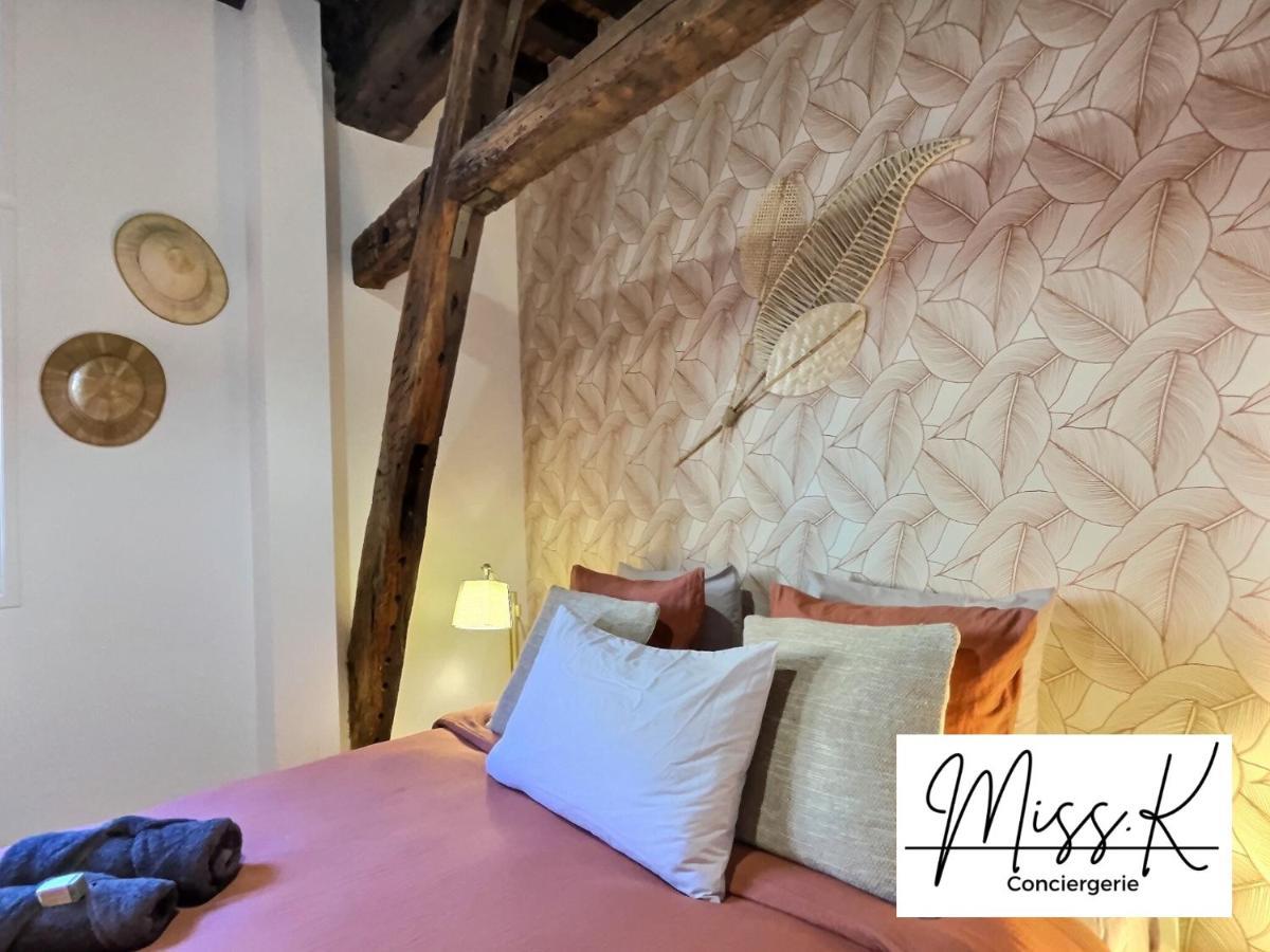"La Fenetre Sur Le Marche" De Miss.K Conciergerie Apartment Chatillon-sur-Chalaronne Exterior photo